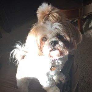 Meet your Posher, Laura